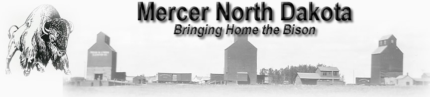 Mercer North Dakota  - Bringing Home the Bison